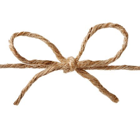 Une vasectomie peut-elle être inversée ? - 46