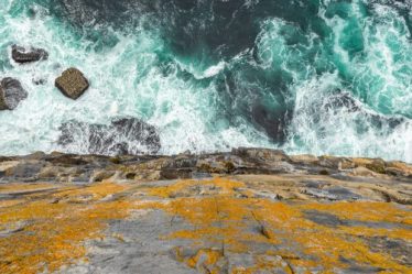 Les scientifiques ont peut-être trouvé comment contrôler les pensées intrusives - 8