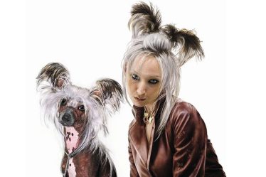 Pourquoi les chiens ressemblent-ils à leurs maîtres ? - 3