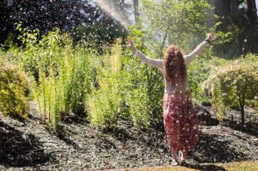 Préparez votre jardin canicule ! Six conseils de jardinage pratiques pour les débutants - 13