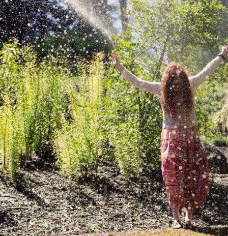 Préparez votre jardin canicule ! Six conseils de jardinage pratiques pour les débutants - 156