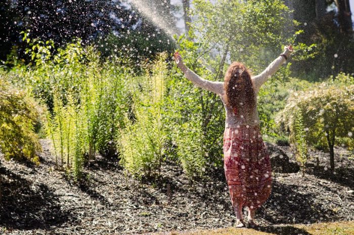 Préparez votre jardin canicule ! Six conseils de jardinage pratiques pour les débutants 2 Préparez votre jardin canicule ! Six conseils de jardinage pratiques pour les débutants - 1