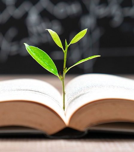 5 des meilleurs livres sur l'évolution humaine - 55