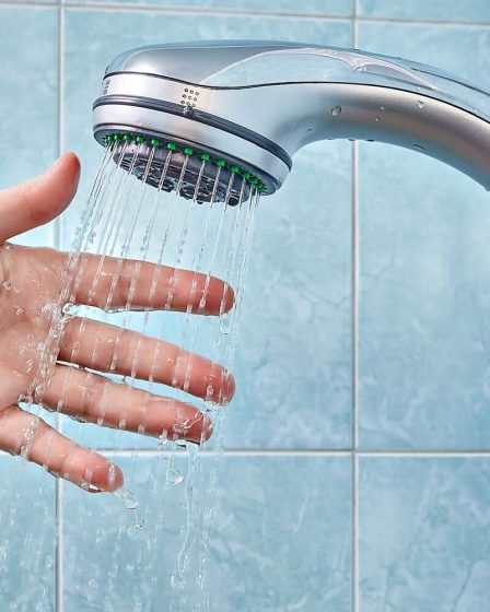 Comment nettoyer une pomme de douche (et pourquoi vous en avez besoin) 10 Comment nettoyer une pomme de douche (et pourquoi vous en avez besoin) - 9