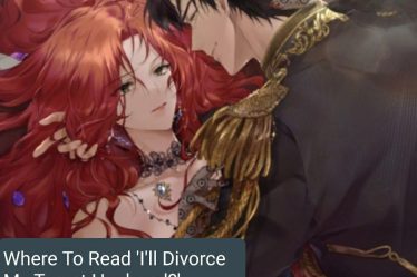 Comment lire Je vais divorcer de mon mari tyran? - 24