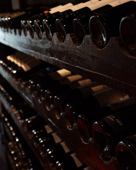 5 bonnes raisons d'investir dans le vin en 2022 58 5 bonnes raisons d'investir dans le vin en 2022 - 57
