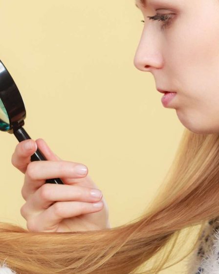 Demandez à une rédactrice beauté : comment se débarrasser des pointes fourchues 34 Demandez à une rédactrice beauté : comment se débarrasser des pointes fourchues - 33