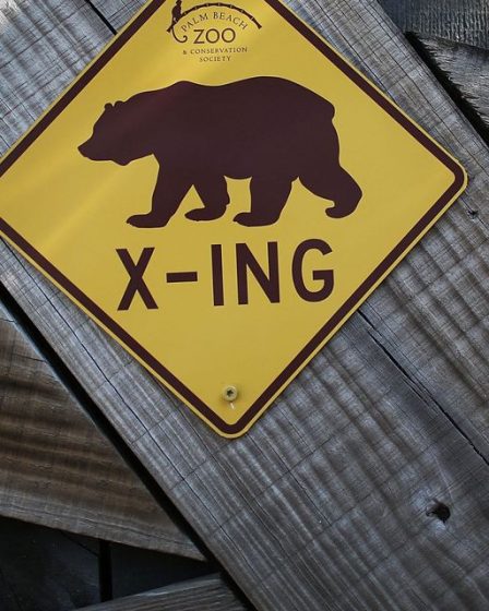 Opinion: Le S&P 500 est si proche de franchir ce niveau crucial et de défier la ligne de tendance du marché baissier 64 Opinion: Le S&P 500 est si proche de franchir ce niveau crucial et de défier la ligne de tendance du marché baissier - 63
