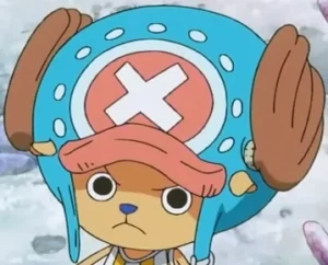 Top 20 des personnages avec la prime la plus basse dans One Piece (2022) 21 Hachoir