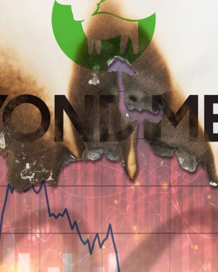 La croisade pour remplacer la viande a cessé de croître - Beyond Meat est-il à blâmer, ou le problème est-il beaucoup plus important ? - 17