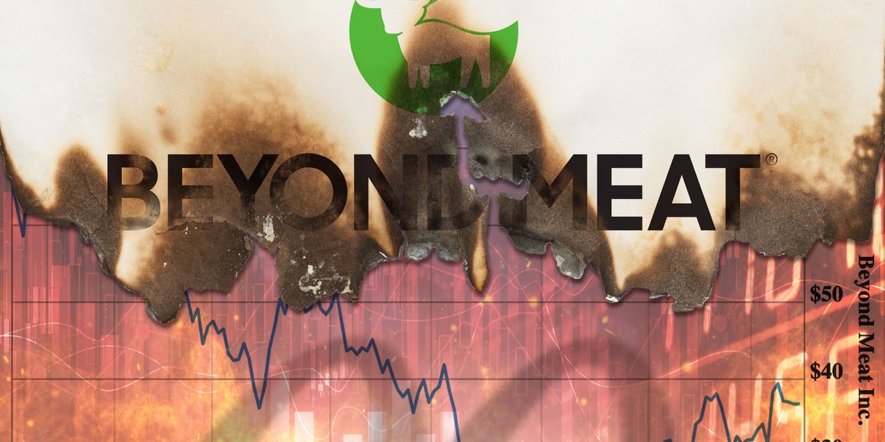 La croisade pour remplacer la viande a cessé de croître - Beyond Meat est-il à blâmer, ou le problème est-il beaucoup plus important ? - 1