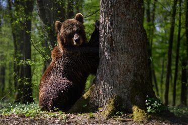 Les contrats à terme sur Dow chutent d'environ 300 points alors que les traders remettent en question la thèse du pivot de la Fed - 8