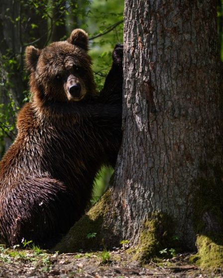 Les contrats à terme sur Dow chutent d'environ 300 points alors que les traders remettent en question la thèse du pivot de la Fed 18 Les contrats à terme sur Dow chutent d'environ 300 points alors que les traders remettent en question la thèse du pivot de la Fed - 17