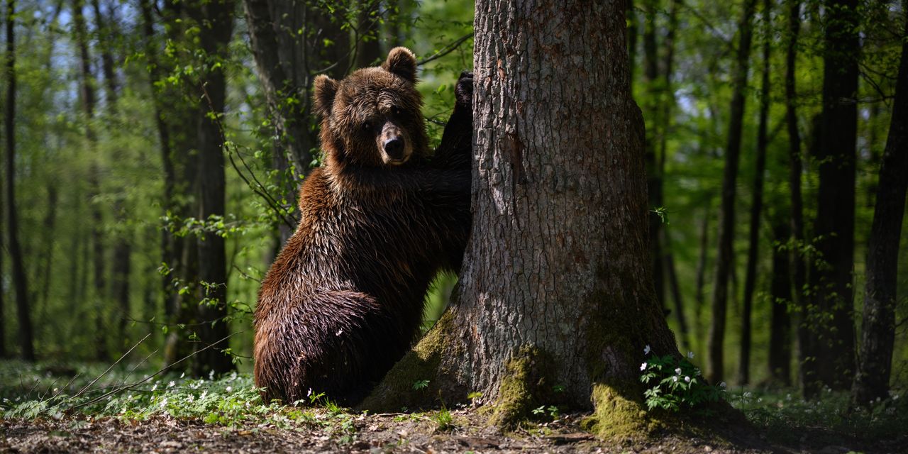 Les contrats à terme sur Dow chutent d'environ 300 points alors que les traders remettent en question la thèse du pivot de la Fed 2 Les contrats à terme sur Dow chutent d'environ 300 points alors que les traders remettent en question la thèse du pivot de la Fed - 1