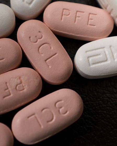 Une étude révèle que l'antiviral de Pfizer a peu ou même aucun avantage pour les jeunes adultes, et l'OMS affirme que la sous-variante BA.5 omicron représentait 74% des cas au cours de la dernière semaine 10 Une étude révèle que l'antiviral de Pfizer a peu ou même aucun avantage pour les jeunes adultes, et l'OMS affirme que la sous-variante BA.5 omicron représentait 74% des cas au cours de la dernière semaine - 9