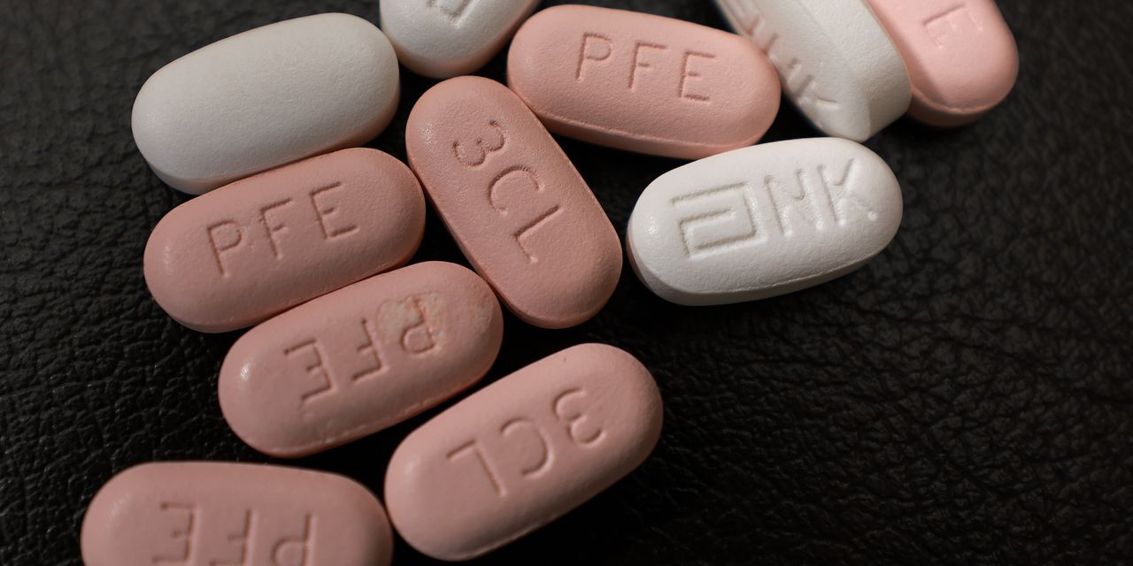 Une étude révèle que l'antiviral de Pfizer a peu ou même aucun avantage pour les jeunes adultes, et l'OMS affirme que la sous-variante BA.5 omicron représentait 74% des cas au cours de la dernière semaine 2 Une étude révèle que l'antiviral de Pfizer a peu ou même aucun avantage pour les jeunes adultes, et l'OMS affirme que la sous-variante BA.5 omicron représentait 74% des cas au cours de la dernière semaine - 1
