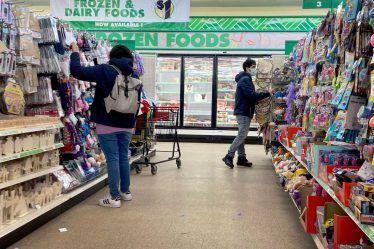 Les actions de Dollar Tree chutent de 10%, sur la bonne voie pour la plus longue séquence de pertes en trois ans - 7