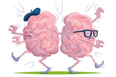 Existe-t-il une chose telle que le cerveau gauche contre le cerveau droit? - 4