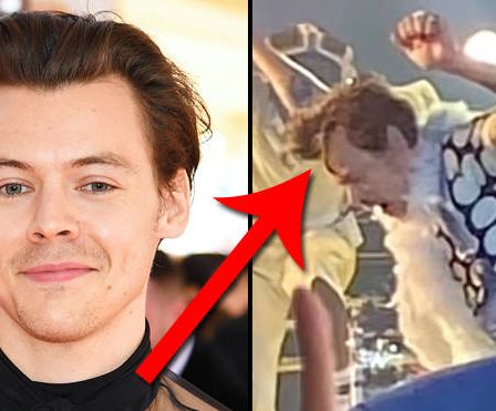 Harry Styles aborde les théories selon lesquelles il est devenu chauve et porte une perruque - 46