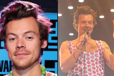 Les fans de Harry Styles lui ont lancé des pépites de poulet sur scène et sa réponse est hilarante - 10