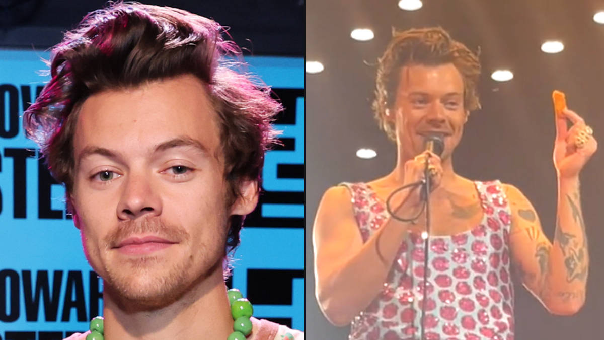 Les fans de Harry Styles lui ont lancé des pépites de poulet sur scène et sa réponse est hilarante 2 Les fans de Harry Styles lui ont lancé des pépites de poulet sur scène et sa réponse est hilarante - 1