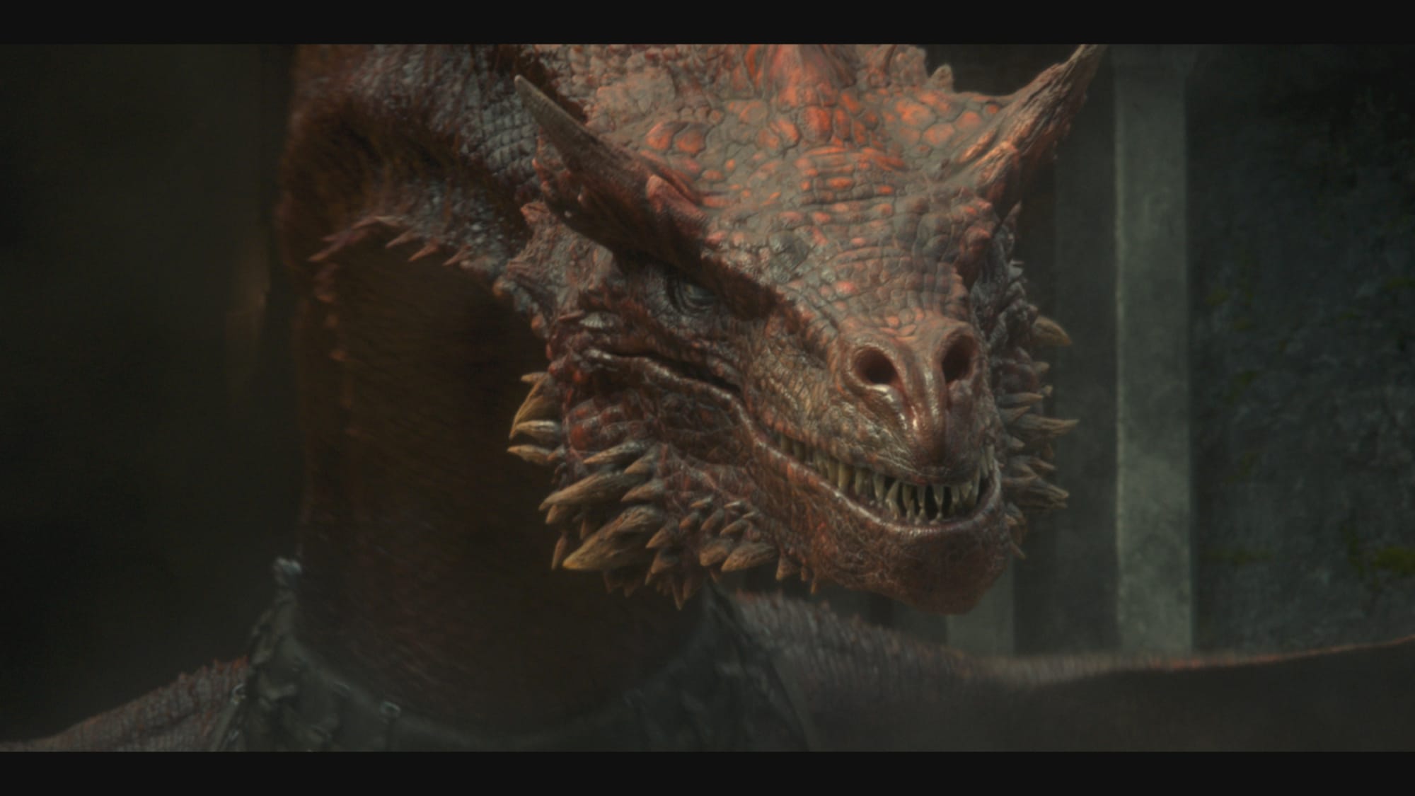 4 dragons importants que nous rencontrerons dans House of the Dragon saison 1 2 4 dragons importants que nous rencontrerons dans House of the Dragon saison 1 - 1