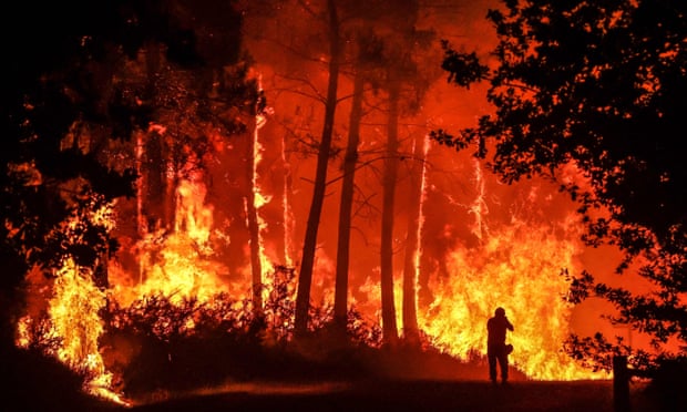 La France doit lutter "plus que jamais" contre la crise climatique, selon le Premier ministre français | France 1 L'immense feu de forêt près de Belin-Béliet, dans le sud-ouest de la France.
