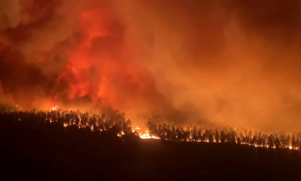 Plus de 6 000 personnes évacuées dans le sud-ouest de la France alors que des incendies de forêt détruisent des forêts | Feux de forêt 1 Des flammes engloutissent des arbres près d'Hostens
