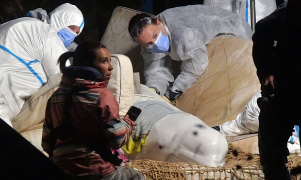 Un béluga échoué retiré de la Seine en France dans le cadre d'une tentative de sauvetage | France 1 Des vétérinaires s'occupent d'un béluga qui s'est échoué dans la Seine à Notre Dame de la Garenne, dans le nord de la France
