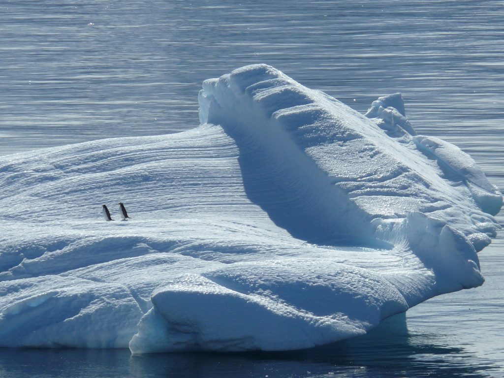 Quel est le prix d'une croisière en antarctique en 2022 ? 4 Quel est le prix d'une croisière en antarctique en 2022 ? - 3