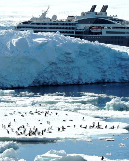 Quel est le prix d'une croisière en antarctique en 2022 ? - 40