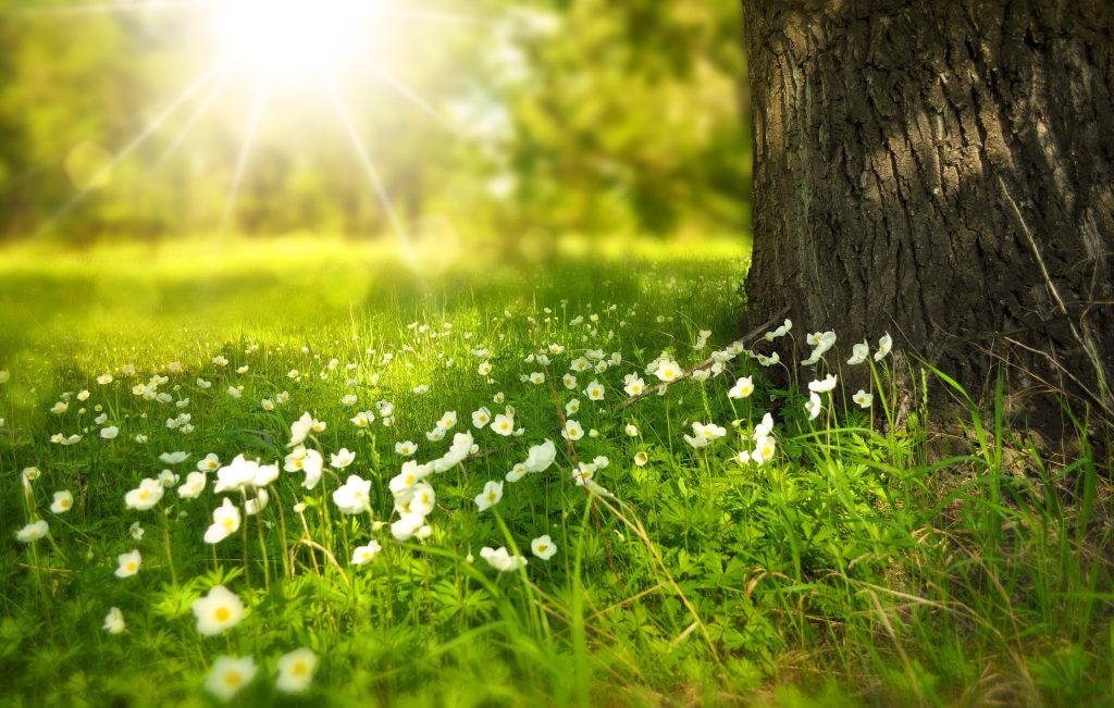 Faire une retraite spirituelle laïque, nos conseils 4 Faire une retraite spirituelle laïque, nos conseils - 3