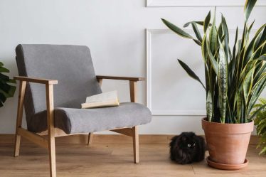 Comment utiliser les plantes pour améliorer le Feng Shui de votre maison - 6