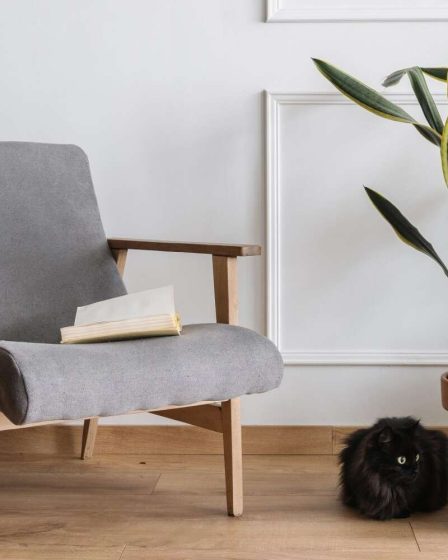 Comment utiliser les plantes pour améliorer le Feng Shui de votre maison 132 Comment utiliser les plantes pour améliorer le Feng Shui de votre maison - 131
