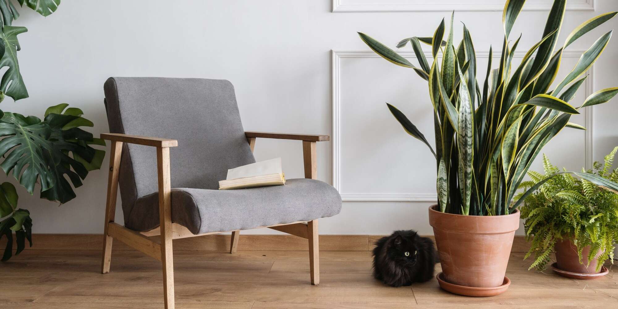 Comment utiliser les plantes pour améliorer le Feng Shui de votre maison 2 Comment utiliser les plantes pour améliorer le Feng Shui de votre maison - 1