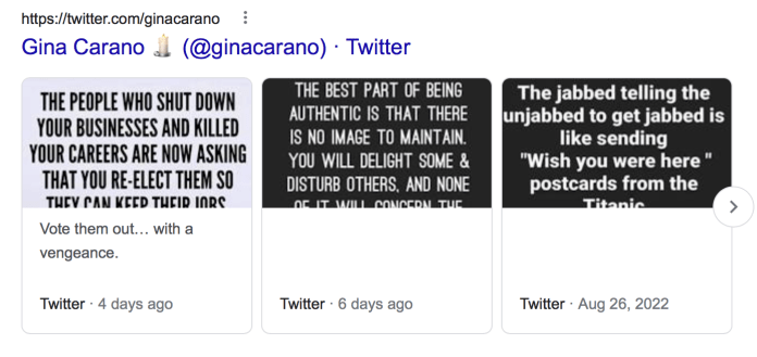 Le compte Twitter de Gina Carano est mystérieusement supprimé 10 Le compte Twitter de Gina Carano est mystérieusement supprimé - 9