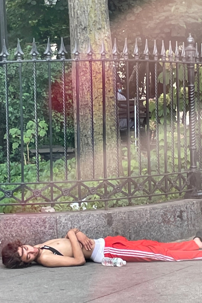 Le bloc de New York engage des gardes de sécurité armés pour patrouiller dans une rue infestée de drogue 5 Les habitants de West Village se sont plaints du fait que des sans-abri nuisent aux entreprises.