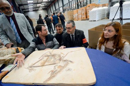 Le Musée de Rio renaîtra de ses cendres – Science et Avenir › Geeky News 3 La reconstitution des collections pose la question du pillage des fossiles au Brésil. Voici l'un des 998 fossiles sortis clandestinement du bassin de l'Araripe et saisis par les douanes françaises en 2013. Photo : JEAN-FRANCOIS MONIER / AFP