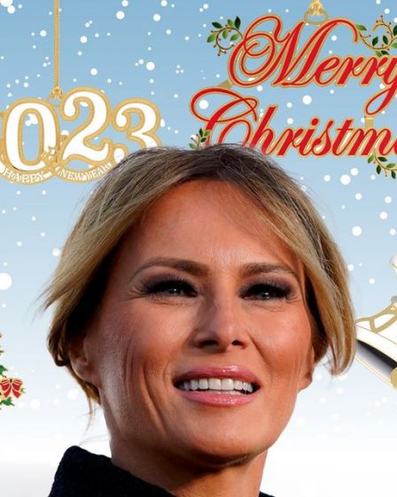 Joyeux Noël de Melania Trump: l'ancienne première dame dévoile des ornements de vacances 68 Joyeux Noël de Melania Trump: l'ancienne première dame dévoile des ornements de vacances - 67