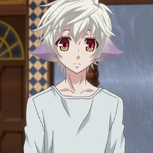 Top 15 des meilleurs mecs animés aux cheveux blancs et aux yeux rouges (2022) 13 Naï (Karneval)