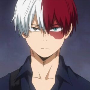 Top 15 des personnages animés avec Split Hair (Multicolored Hair 2022) 16 Shoto Todoroki (My Hero Academia)
