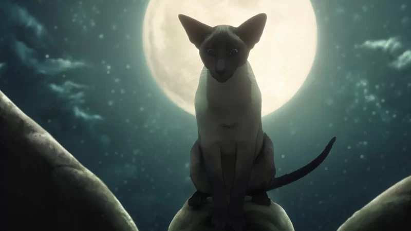 RÊVE DE MILLE CHATS CALLIOPE The Sandman