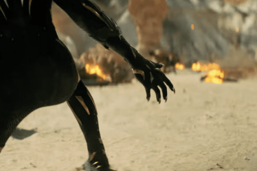Marvel pourrait annuler la sortie en salles de Black Panther 2 dans un pays - 7