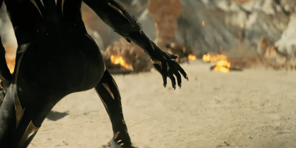 Marvel pourrait annuler la sortie en salles de Black Panther 2 dans un pays 2 Marvel pourrait annuler la sortie en salles de Black Panther 2 dans un pays - 1