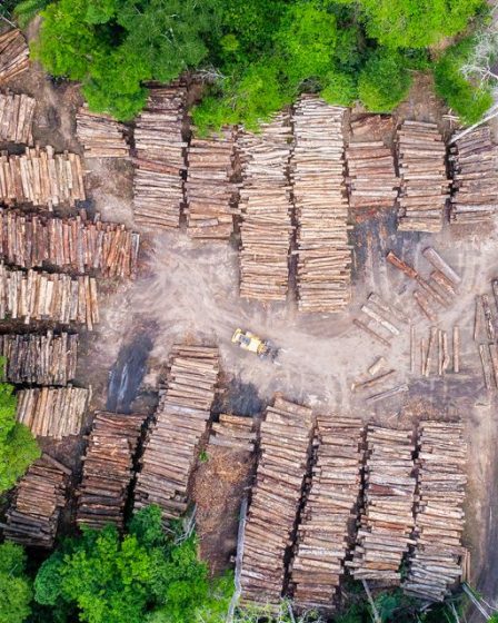 Les États-Unis, le Royaume-Uni et les nations puissantes prennent au sérieux la protection des forêts jugées vitales pour atteindre l'objectif climatique de Paris - 33