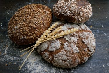 Pourquoi j'ai été « boulé de pain » sur la vision de l'utopie sociale de Kropotkine - 27