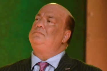 Paul Heyman explique pourquoi il déteste les films Marvel et DC - 13