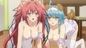 Les 10 meilleurs anime Fanservice sur Funimation (basés sur les notes IMDb) 3 Le Testament de Sister New Devil