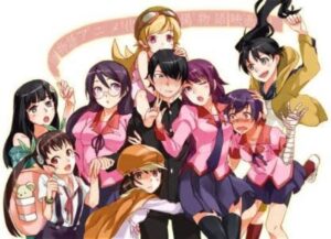 Les 10 meilleurs anime Fanservice sur Funimation (basés sur les notes IMDb) 11 Bakemonogatari (animé)