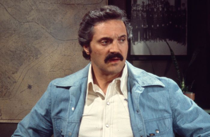 'Qu'est-ce que la retraite?' À 91 ans, l'acteur de "Barney Miller" Hal Linden ne ralentira pas - 3